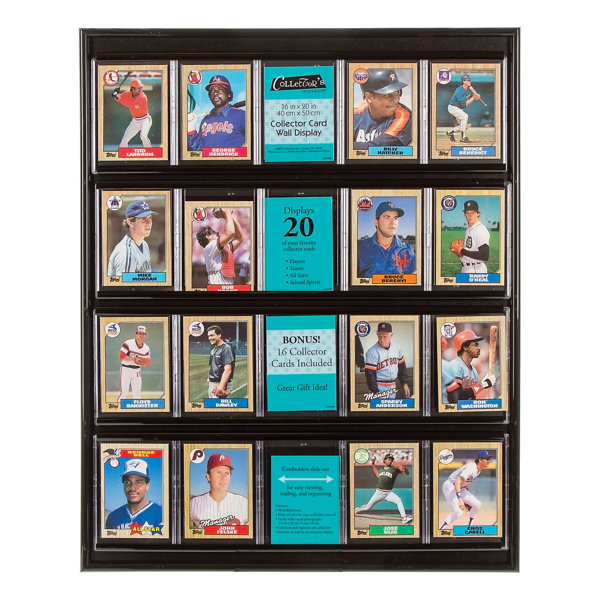 Darice Collector Card Display & Reviews Wayfair